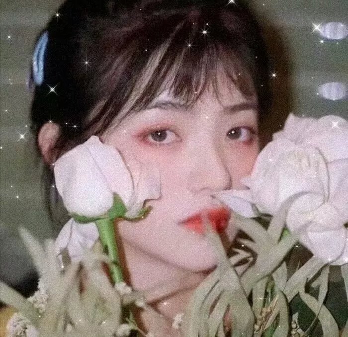 圆月映花都